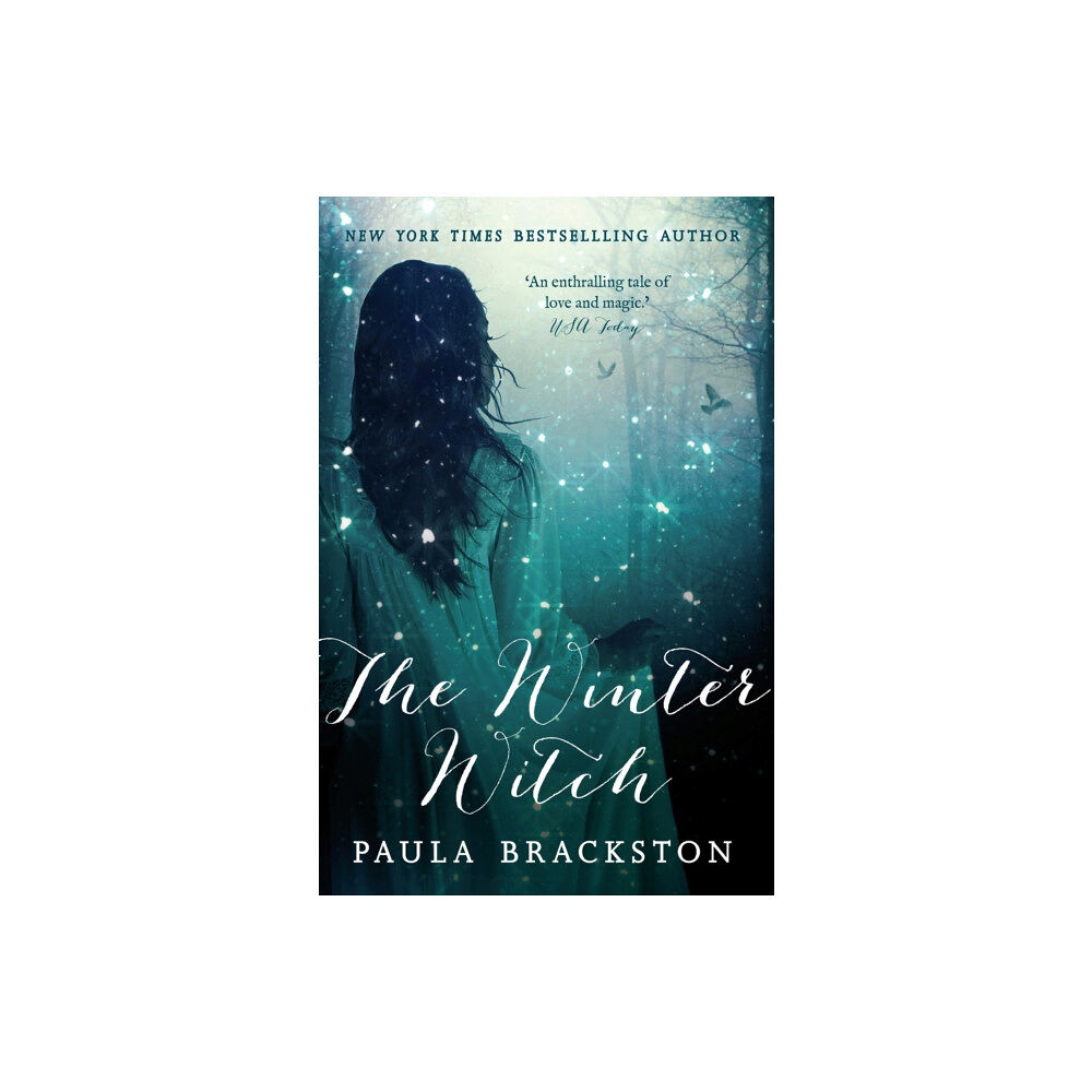 Little, Brown Book Group The Winter Witch (häftad, eng)