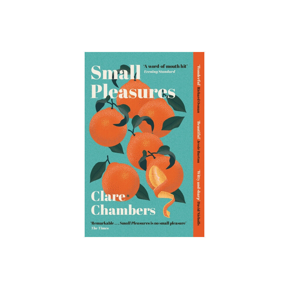 Orion Publishing Co Small Pleasures (häftad, eng)