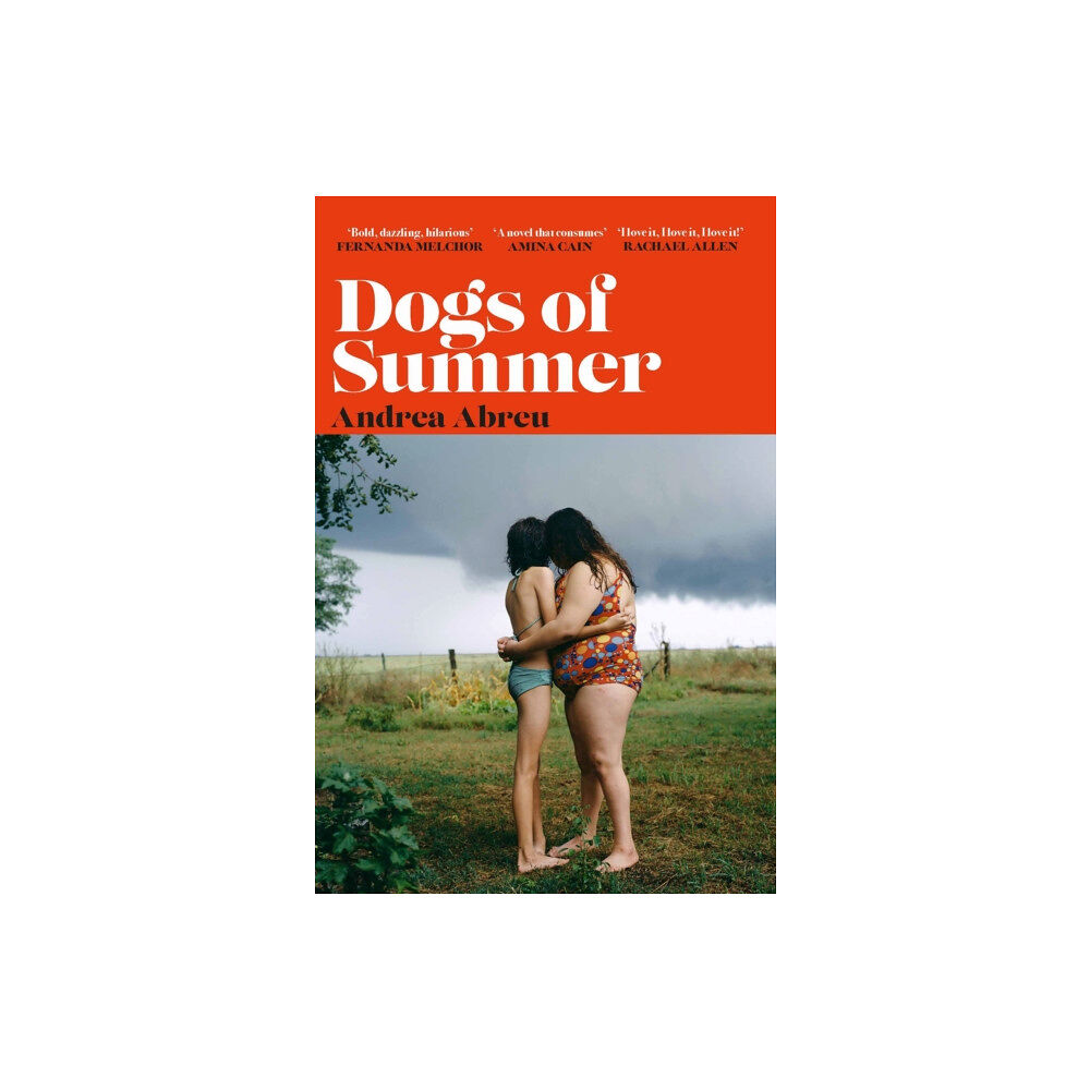 Orion Publishing Co Dogs of Summer (häftad, eng)