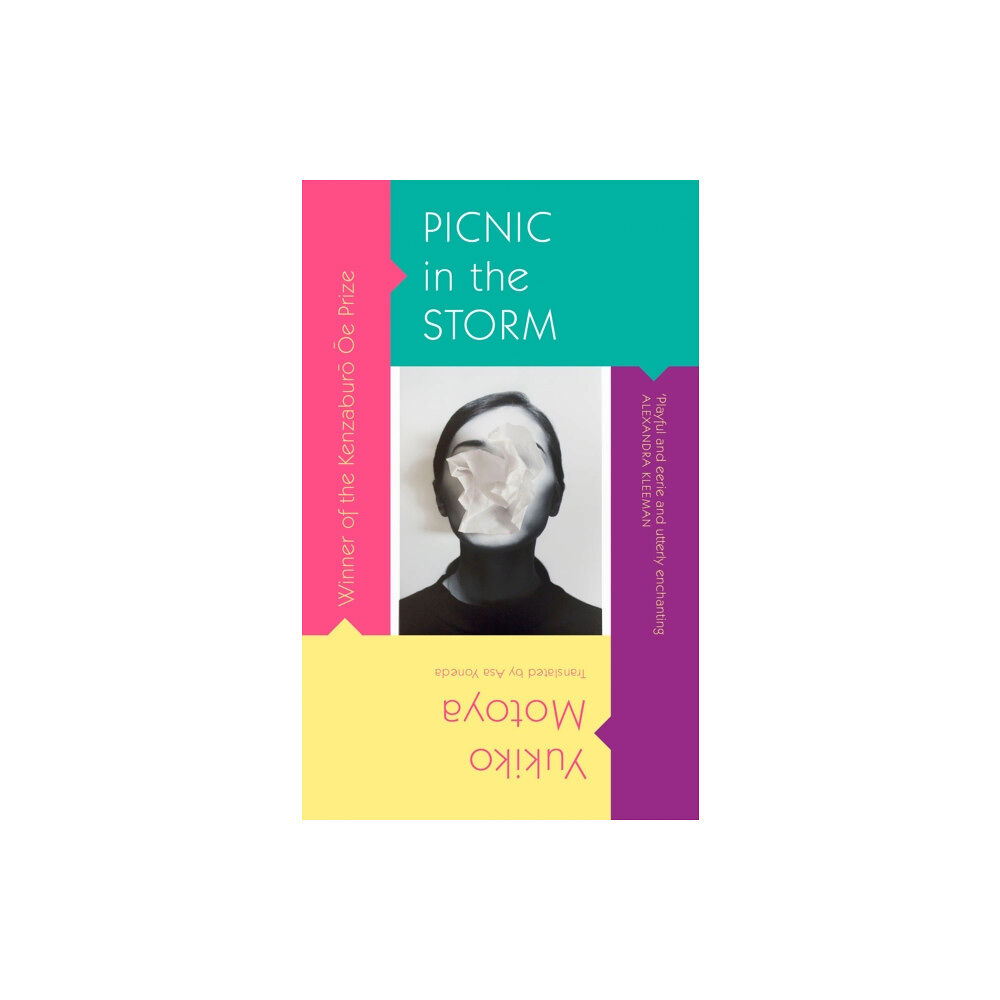 Little, Brown Book Group Picnic in the Storm (häftad, eng)