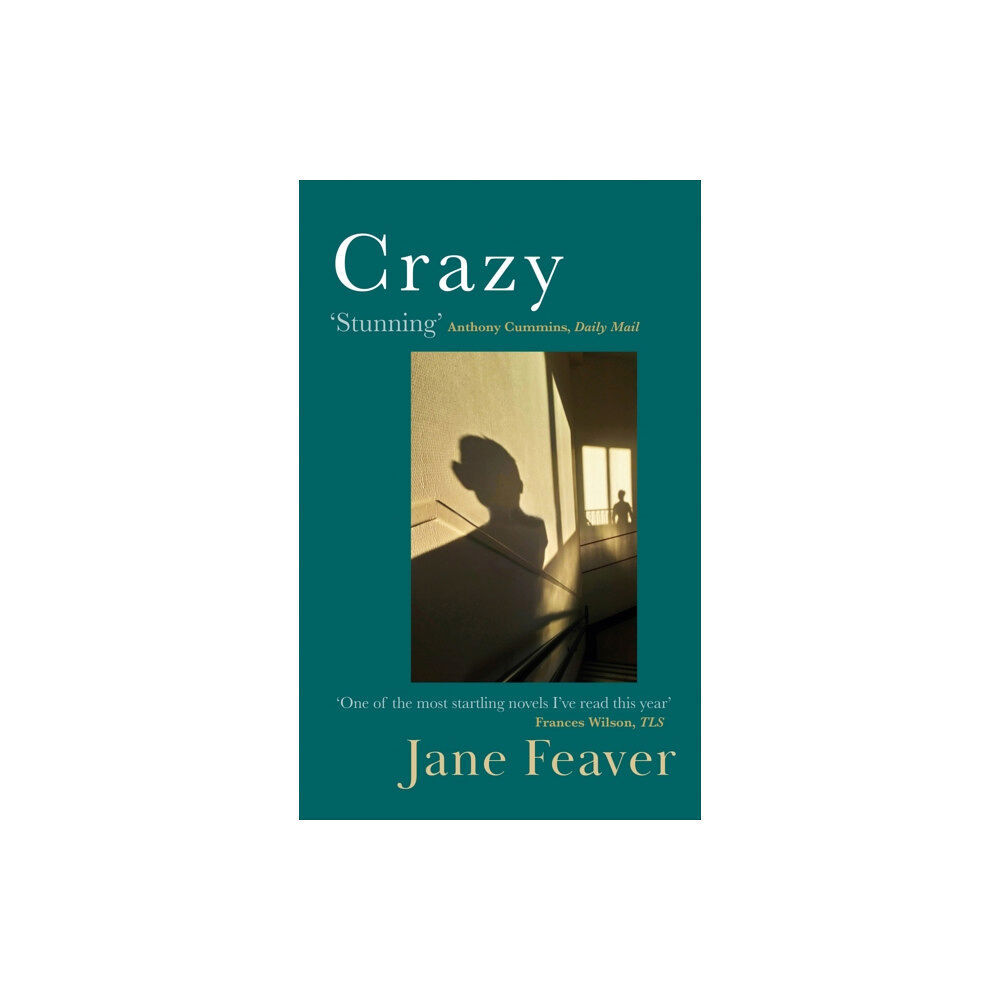 Little, Brown Book Group Crazy (häftad, eng)