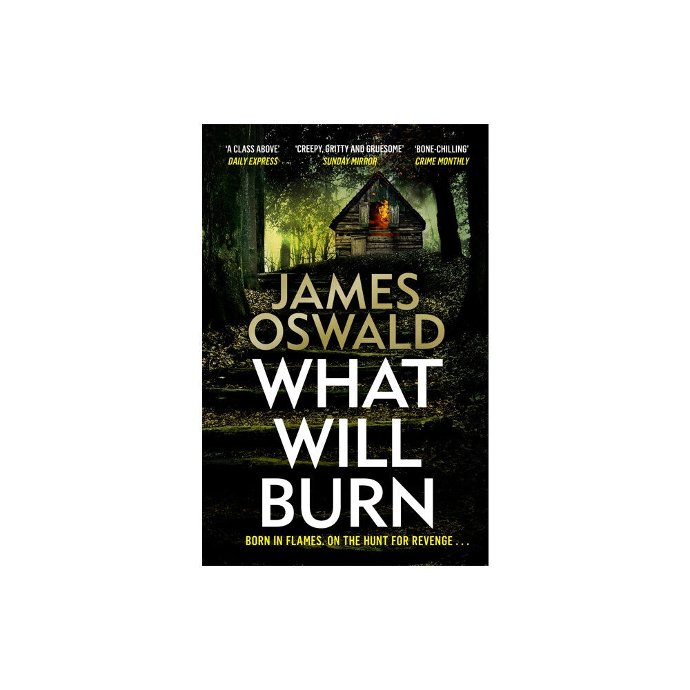 Headline Publishing Group What Will Burn (häftad, eng)