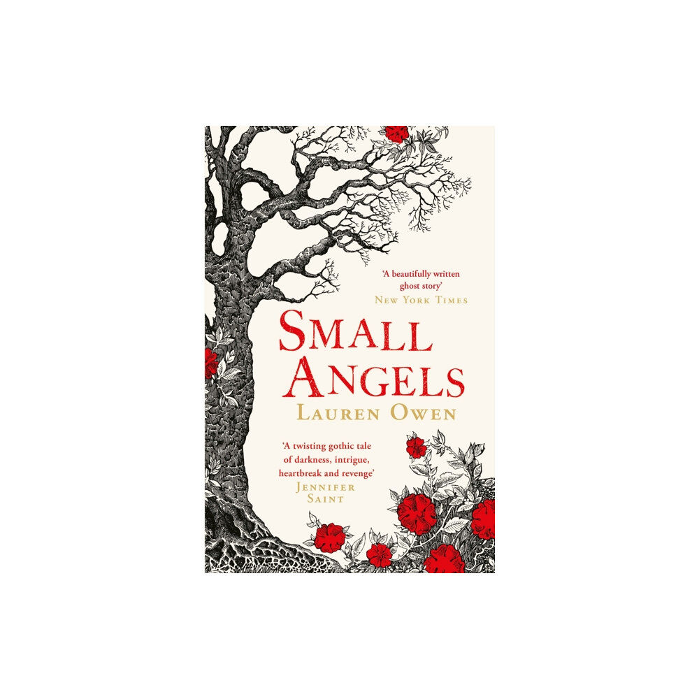 Headline Publishing Group Small Angels (häftad, eng)