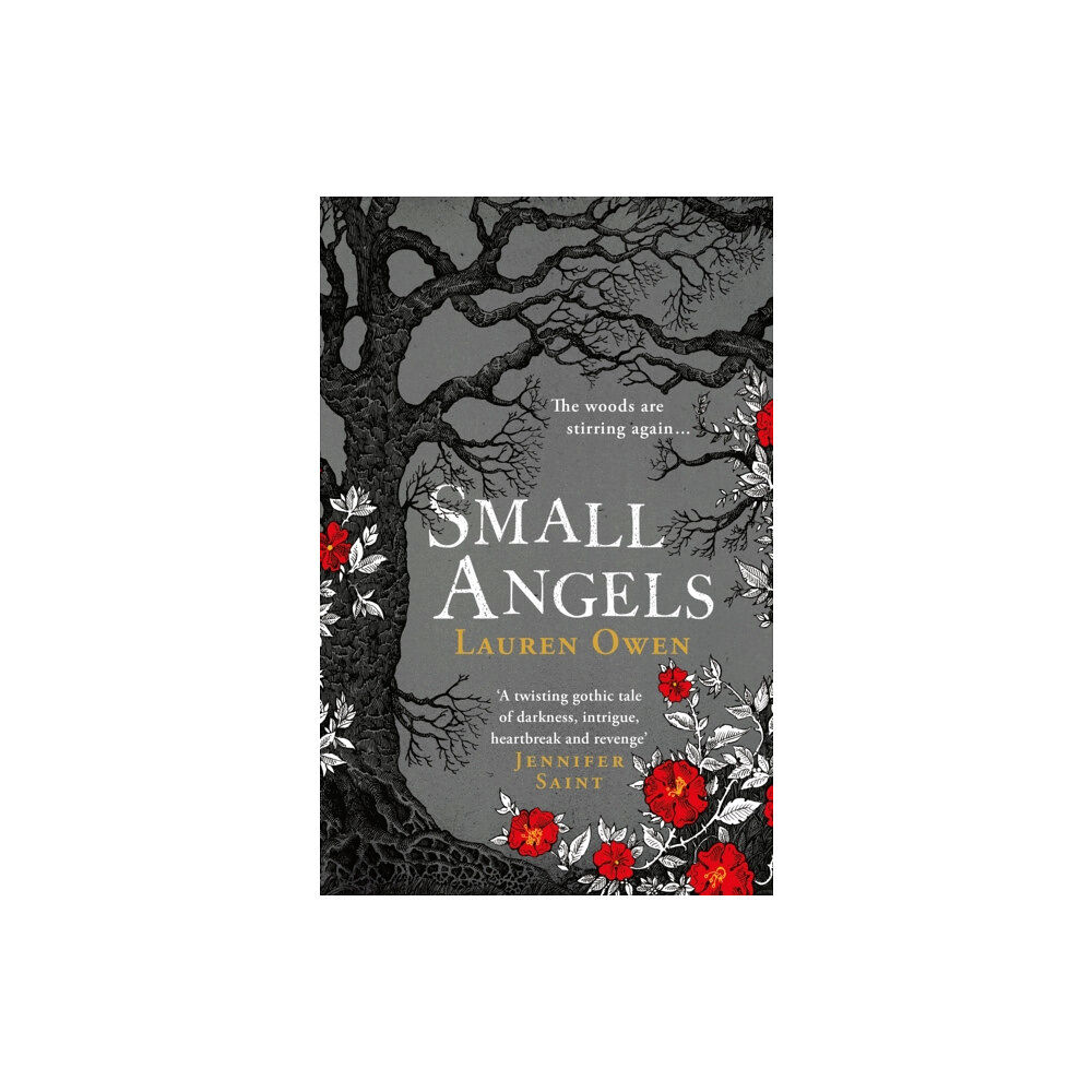 Headline Publishing Group Small Angels (häftad, eng)