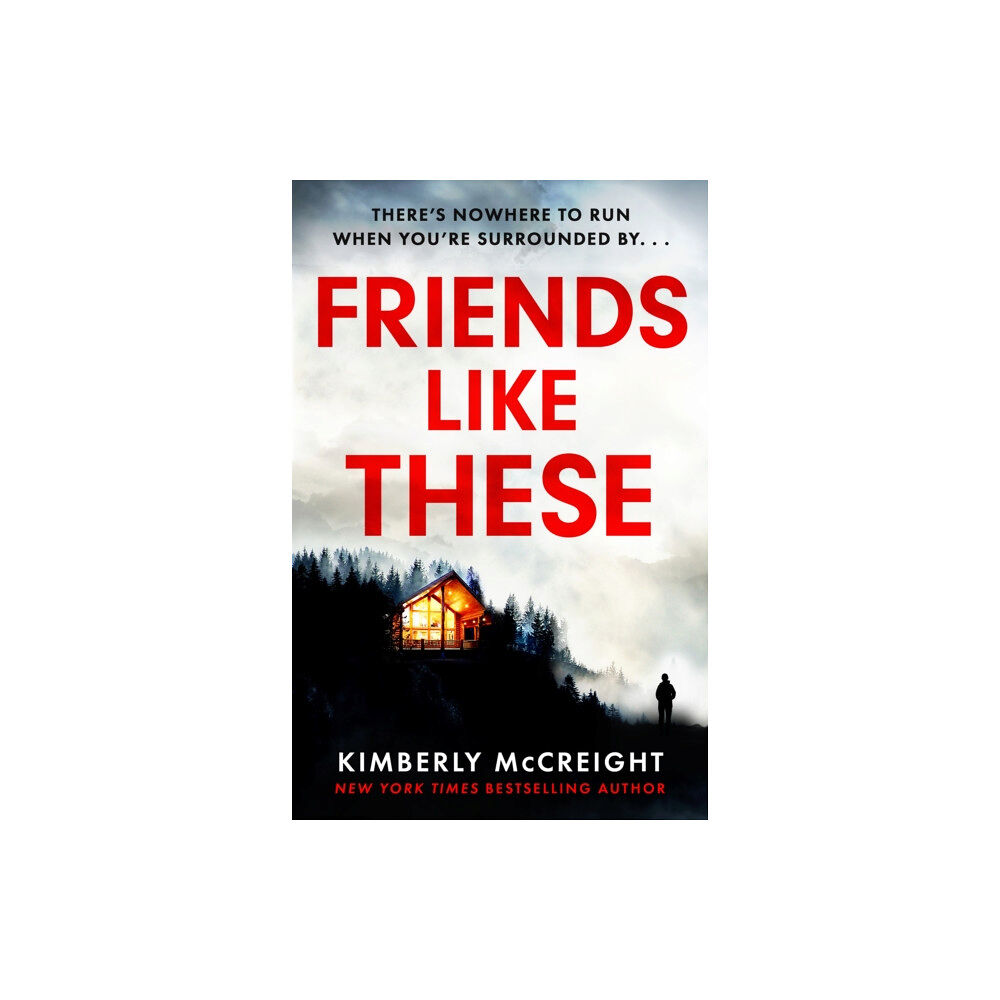 Headline Publishing Group Friends Like These (häftad, eng)