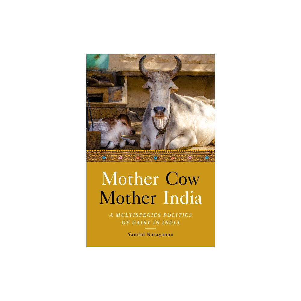 Stanford university press Mother Cow, Mother India (häftad, eng)