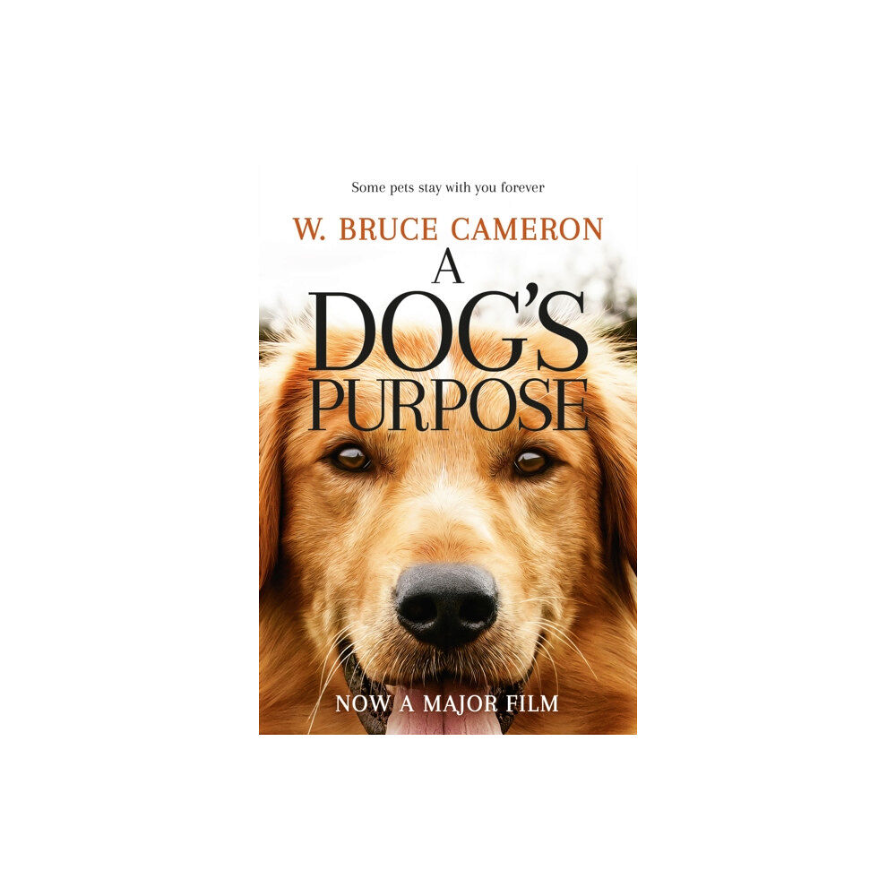 Pan Macmillan A Dog's Purpose (häftad, eng)