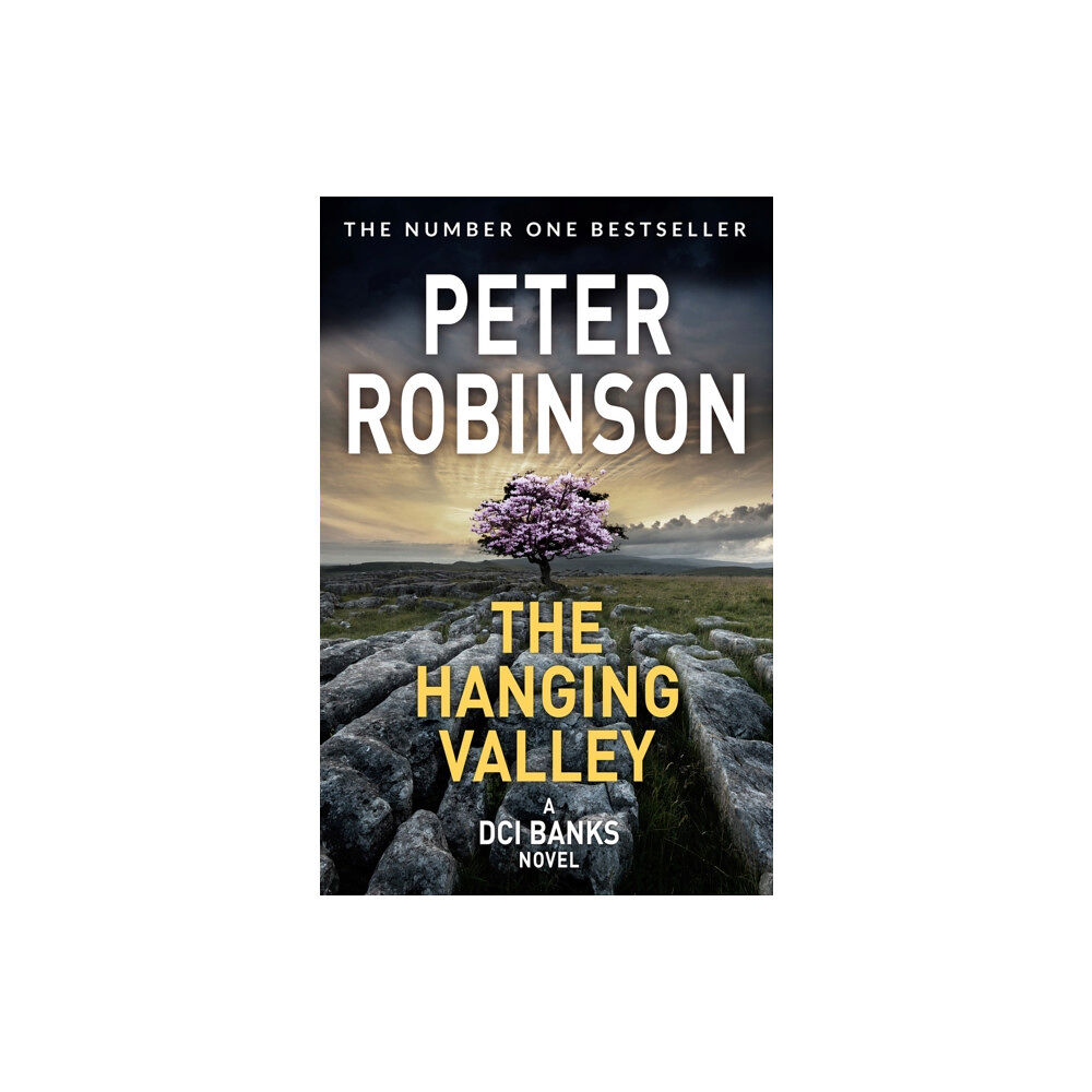 Pan Macmillan The Hanging Valley (häftad, eng)