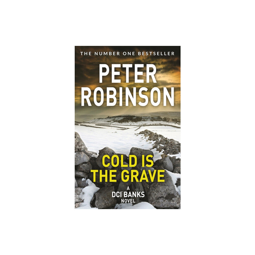 Pan Macmillan Cold is the Grave (häftad, eng)