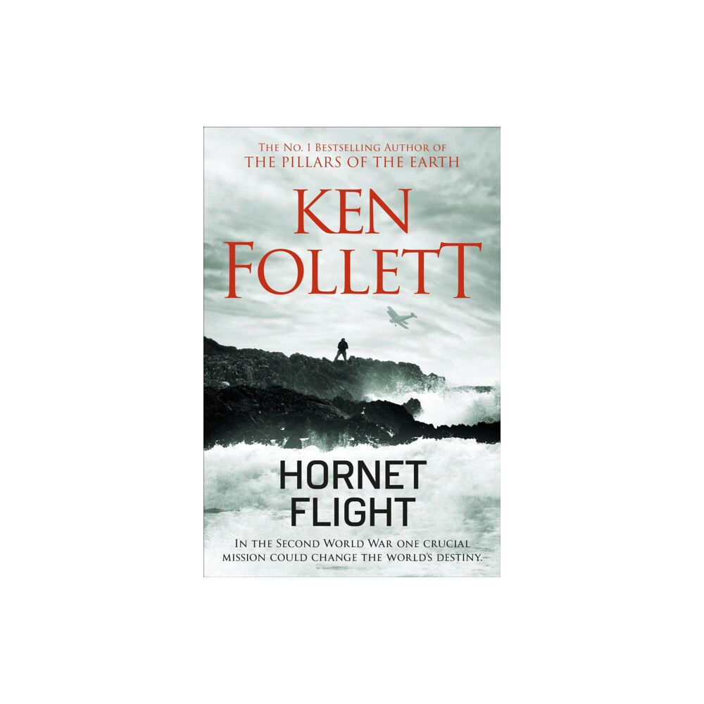 Pan Macmillan Hornet Flight (häftad, eng)