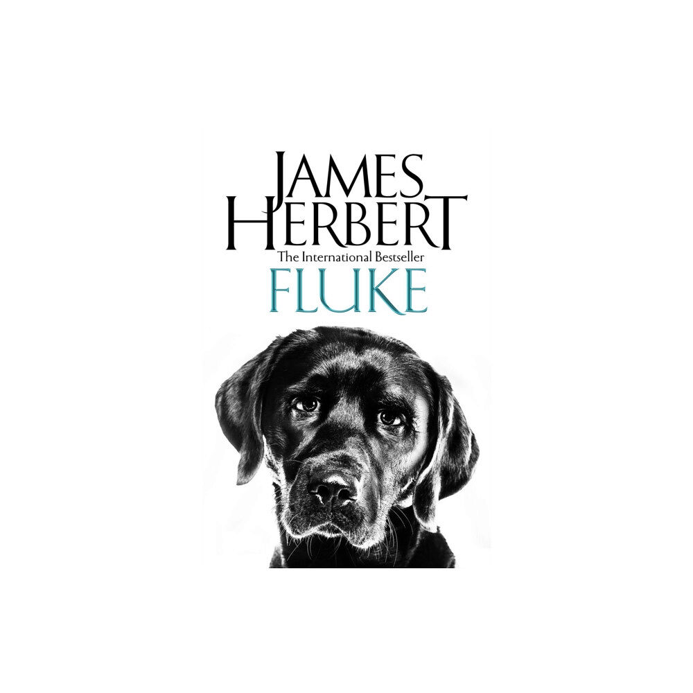 Pan Macmillan Fluke (häftad, eng)