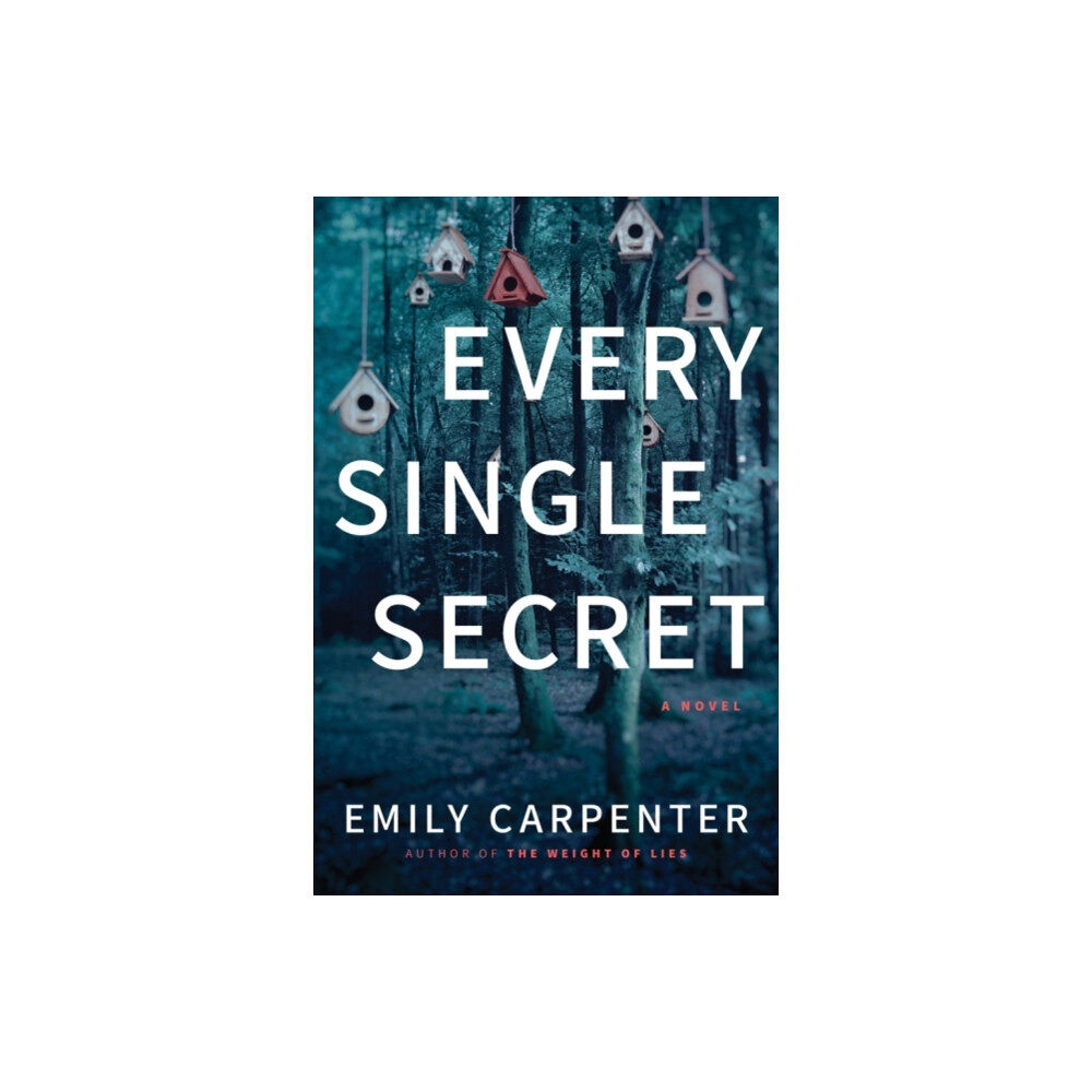 Amazon Publishing Every Single Secret (häftad, eng)