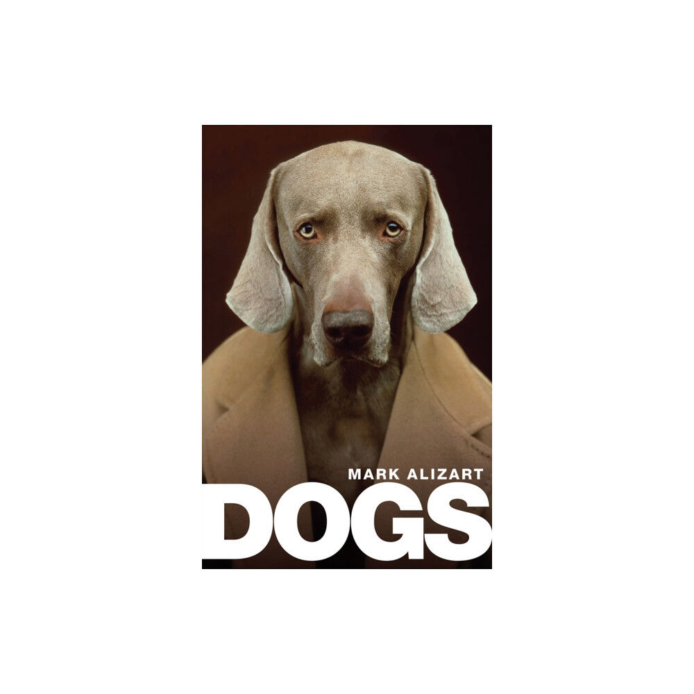 John Wiley And Sons Ltd Dogs (inbunden, eng)