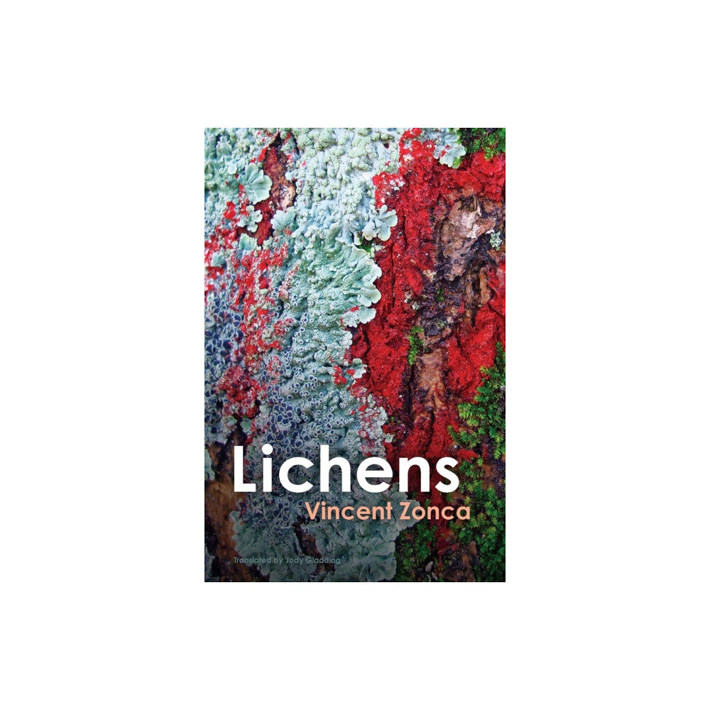 John Wiley And Sons Ltd Lichens (häftad, eng)