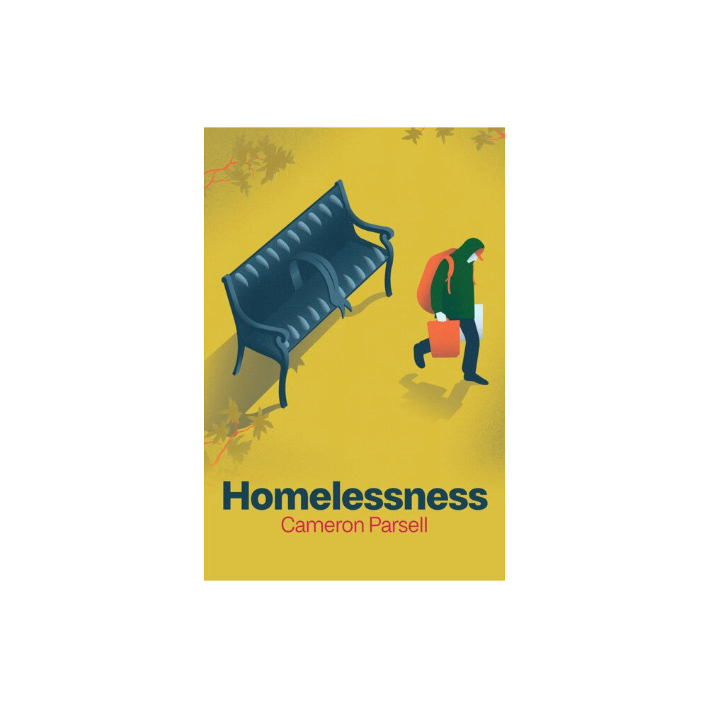 John Wiley And Sons Ltd Homelessness (häftad, eng)