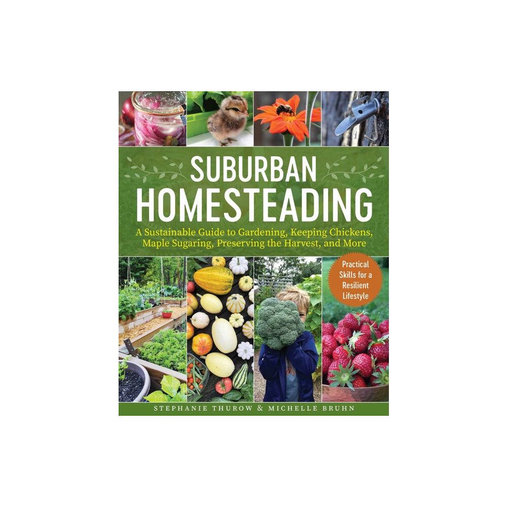 Skyhorse Publishing Small-Scale Homesteading (häftad, eng)