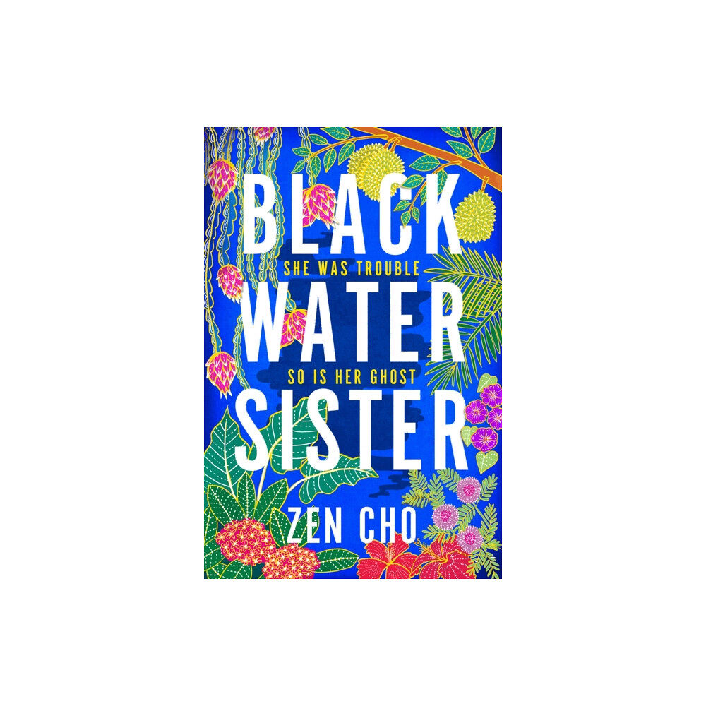 Pan Macmillan Black Water Sister (häftad, eng)