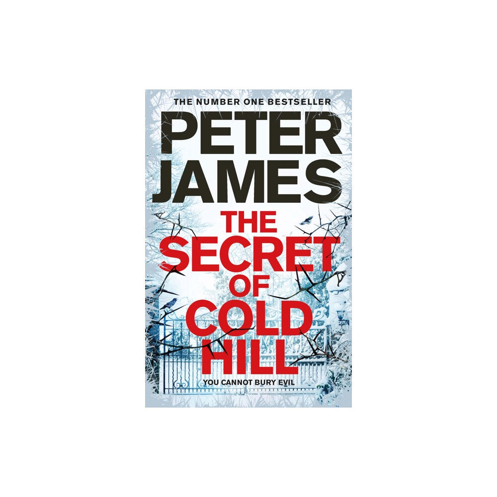 Pan Macmillan The Secret of Cold Hill (inbunden, eng)