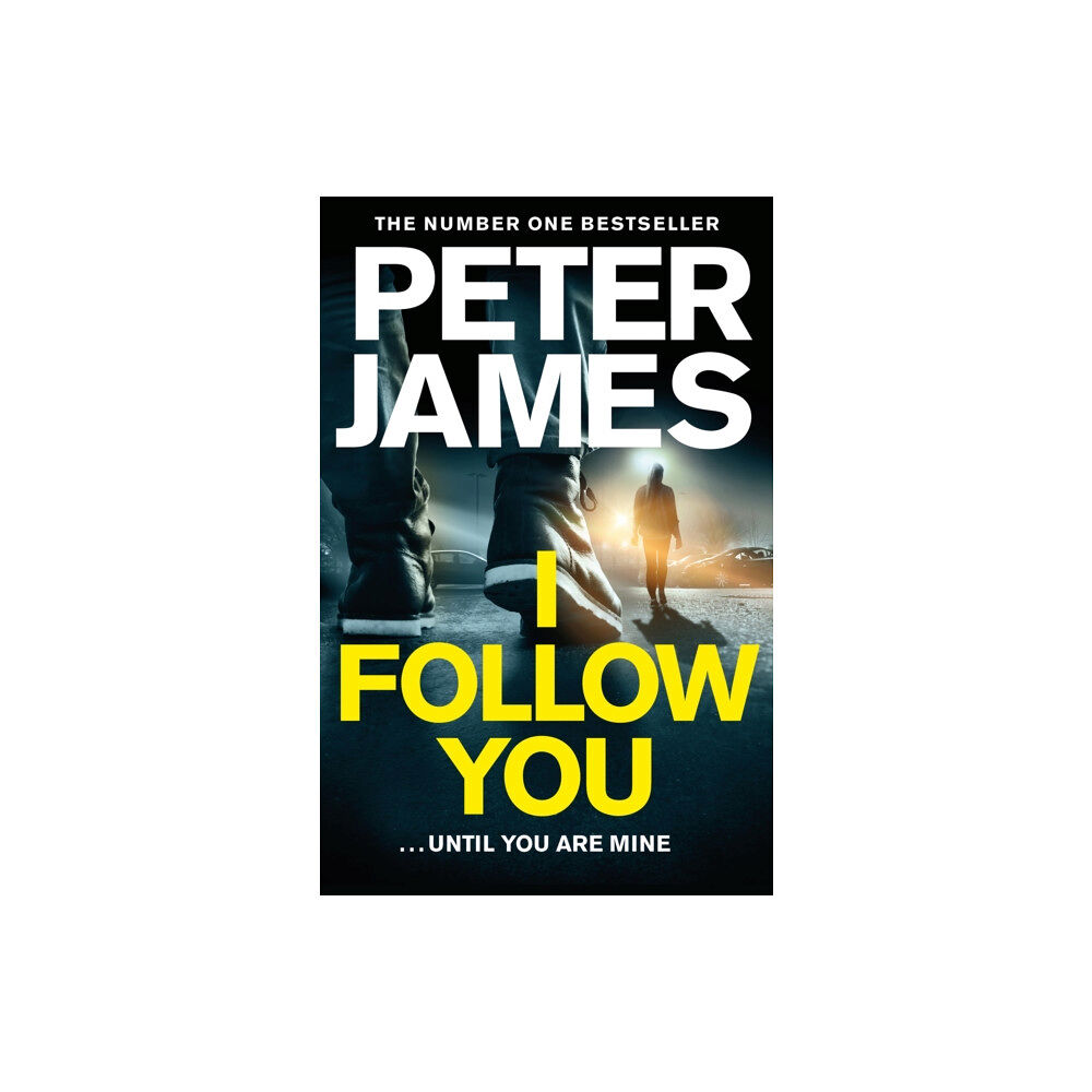Pan Macmillan I Follow You (häftad, eng)
