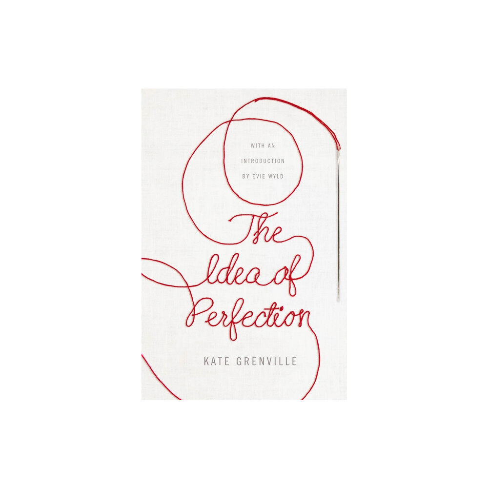 Pan Macmillan The Idea of Perfection (häftad, eng)