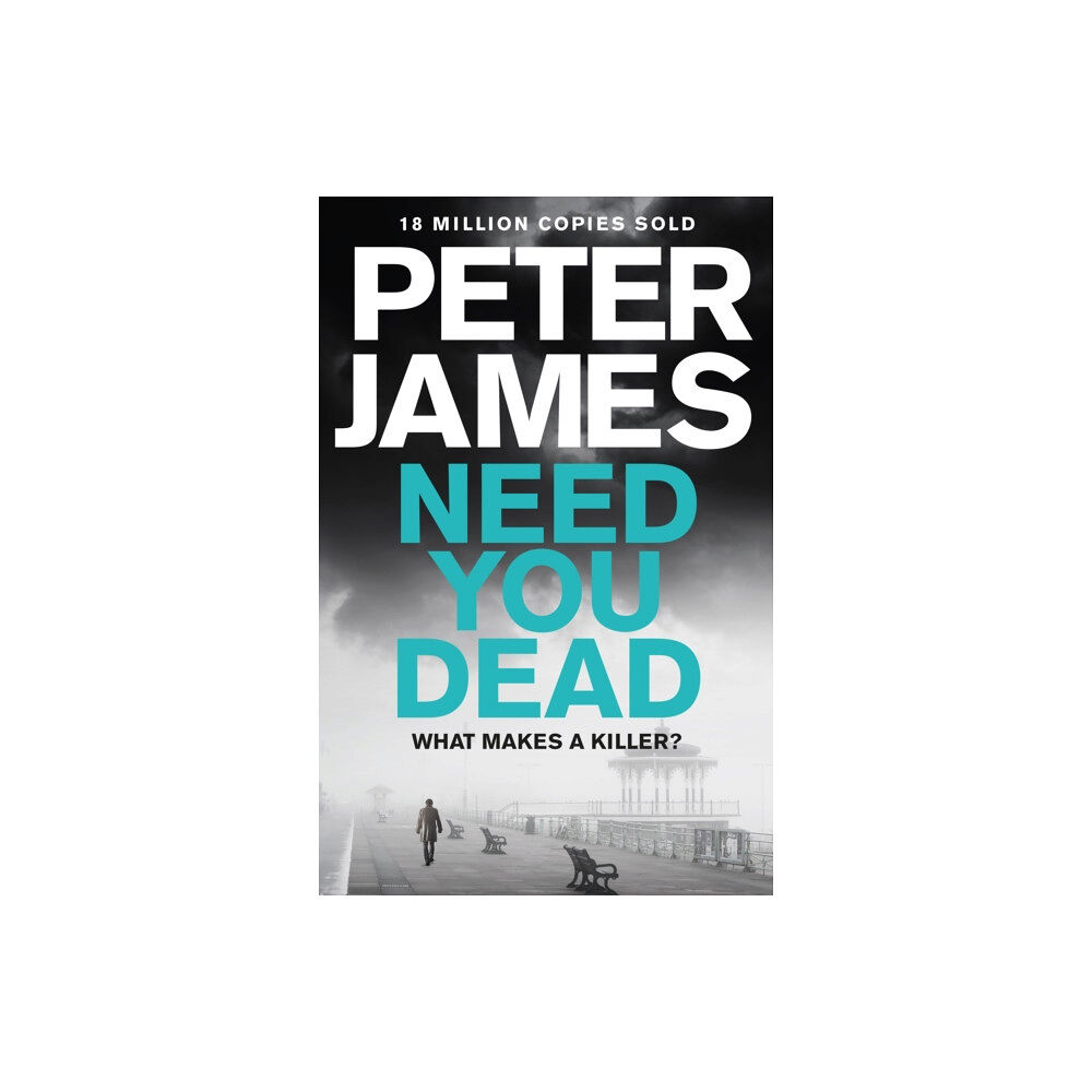 Pan Macmillan Need You Dead (häftad, eng)