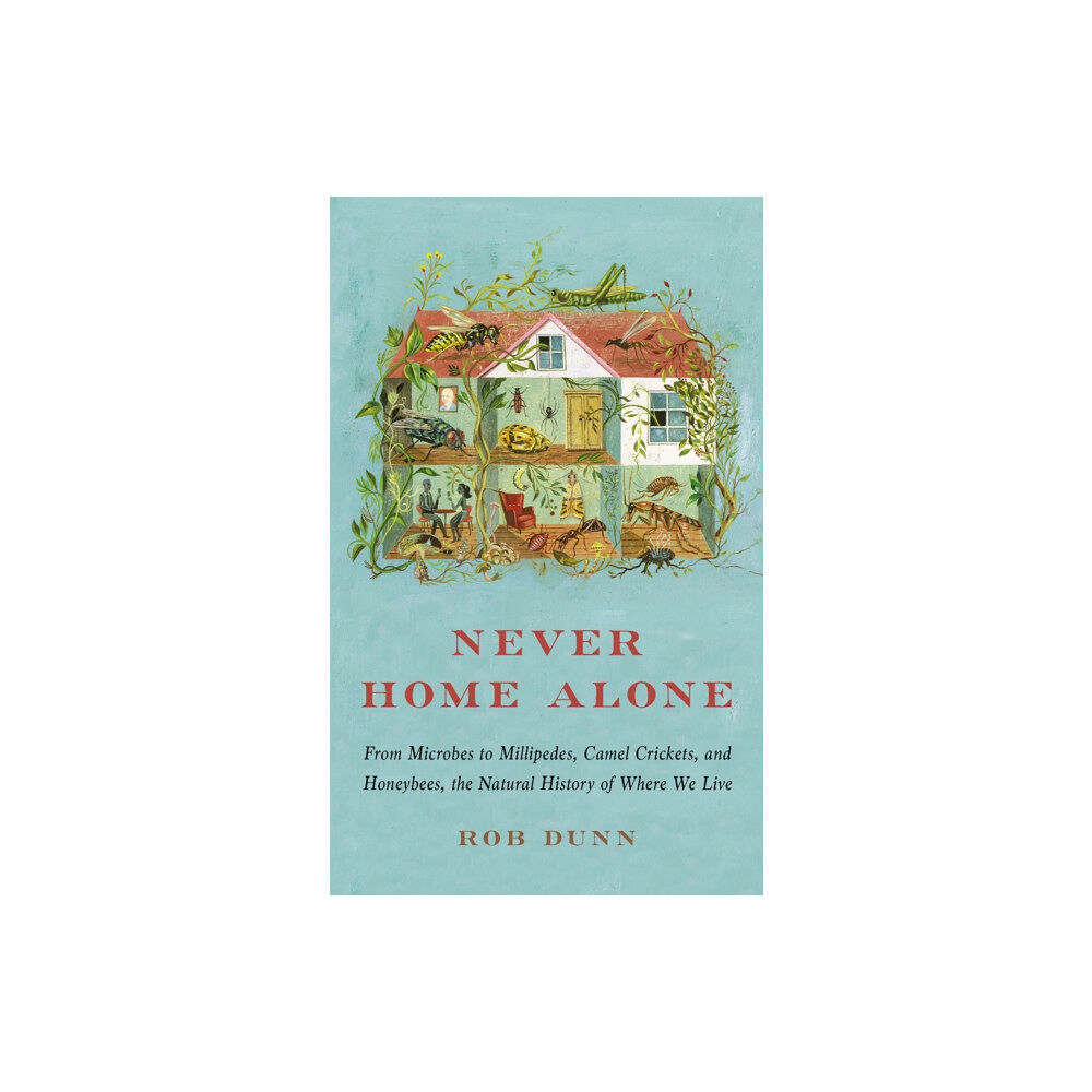 Basic Books Never Home Alone (häftad, eng)