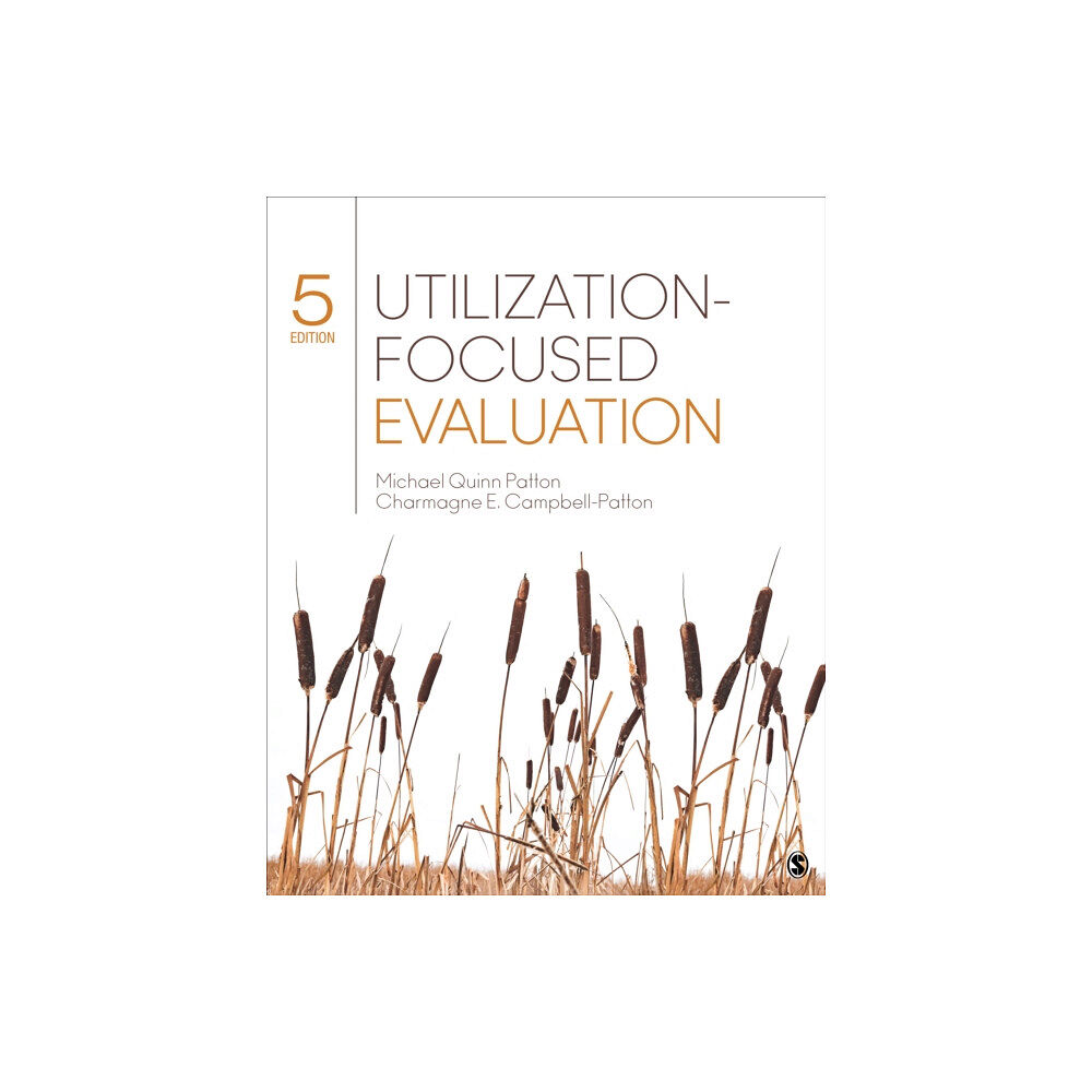 Sage publications inc Utilization-Focused Evaluation (häftad, eng)