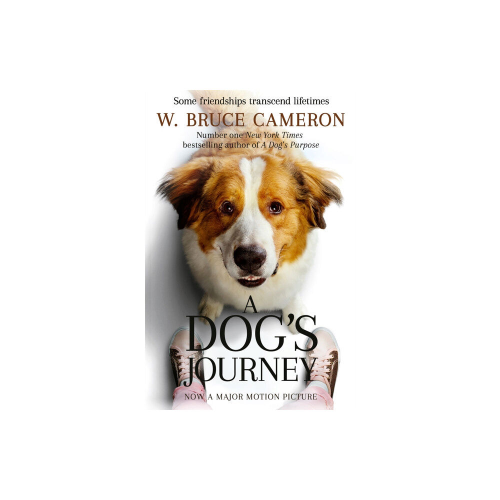 Pan Macmillan A Dog's Journey (häftad, eng)