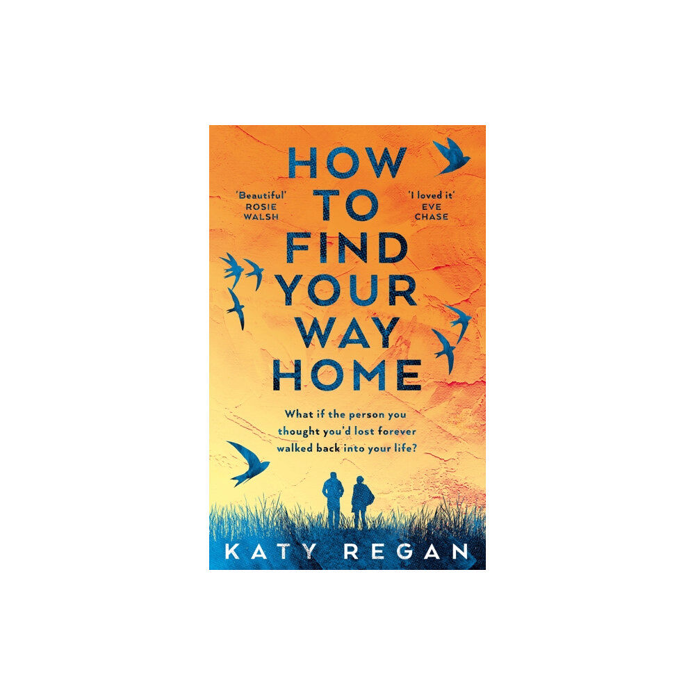 Pan Macmillan How To Find Your Way Home (inbunden, eng)