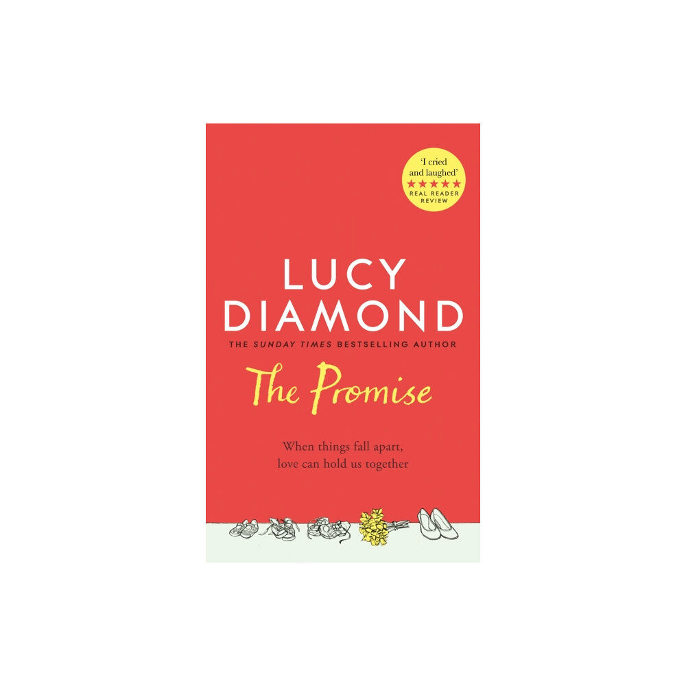 Pan Macmillan The Promise (inbunden, eng)