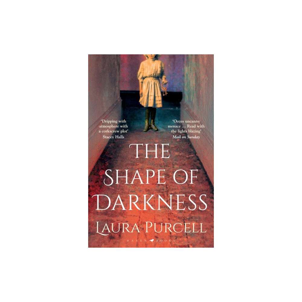 Bloomsbury Publishing PLC The Shape of Darkness (häftad, eng)