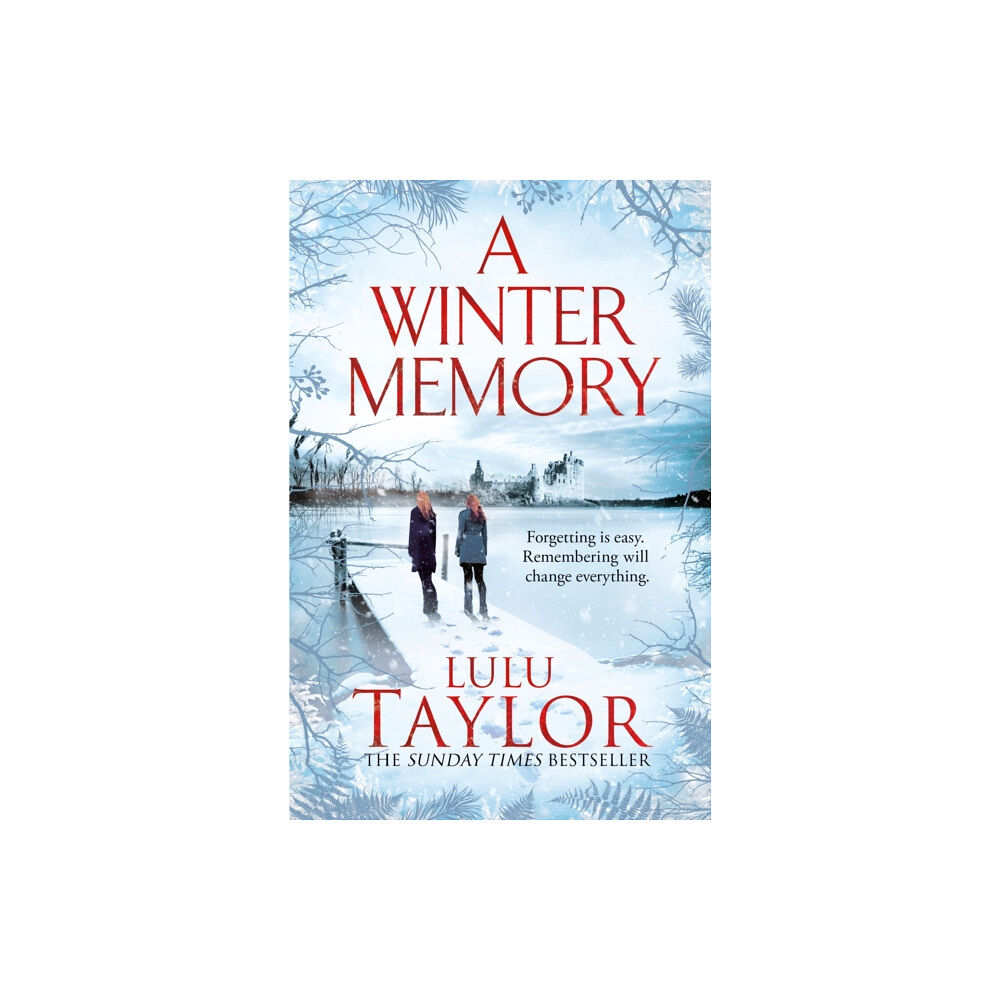 Pan Macmillan A Winter Memory (häftad, eng)