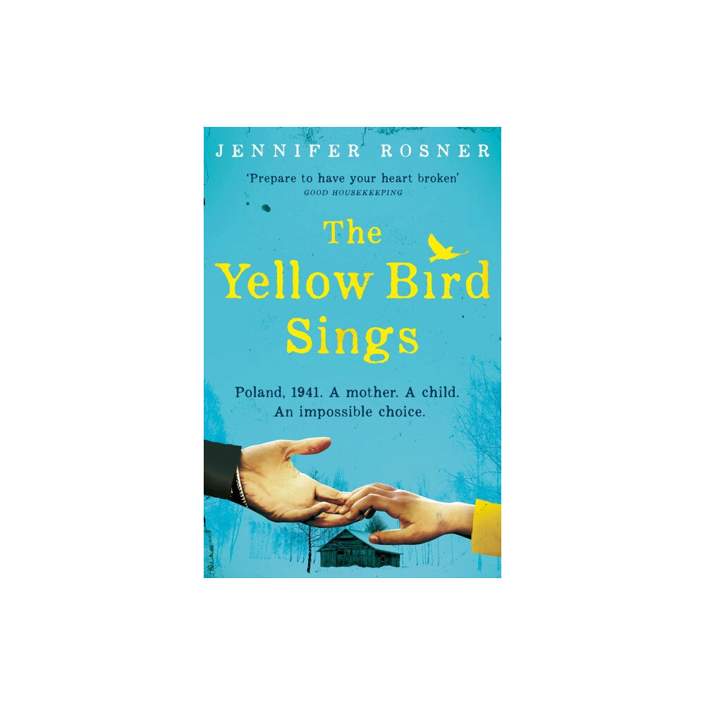 Pan Macmillan The Yellow Bird Sings (häftad, eng)