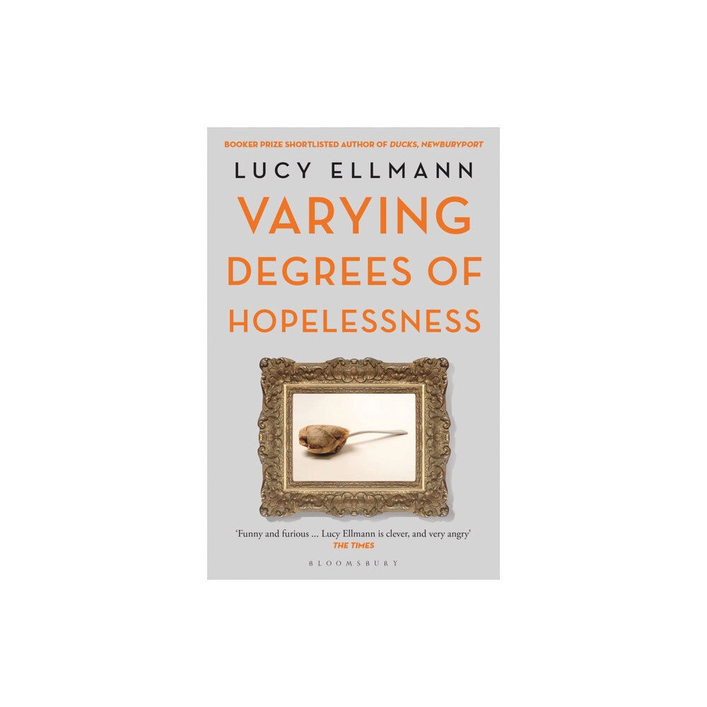 Bloomsbury Publishing PLC Varying Degrees of Hopelessness (häftad, eng)