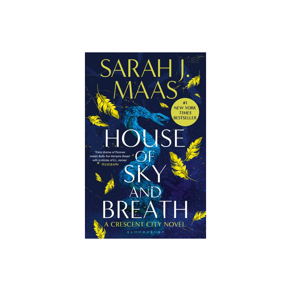 Bloomsbury Publishing PLC House of Sky and Breath (häftad, eng)