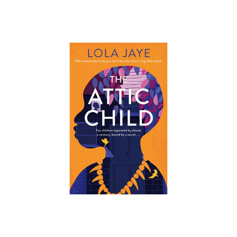 Pan Macmillan The Attic Child (häftad, eng)