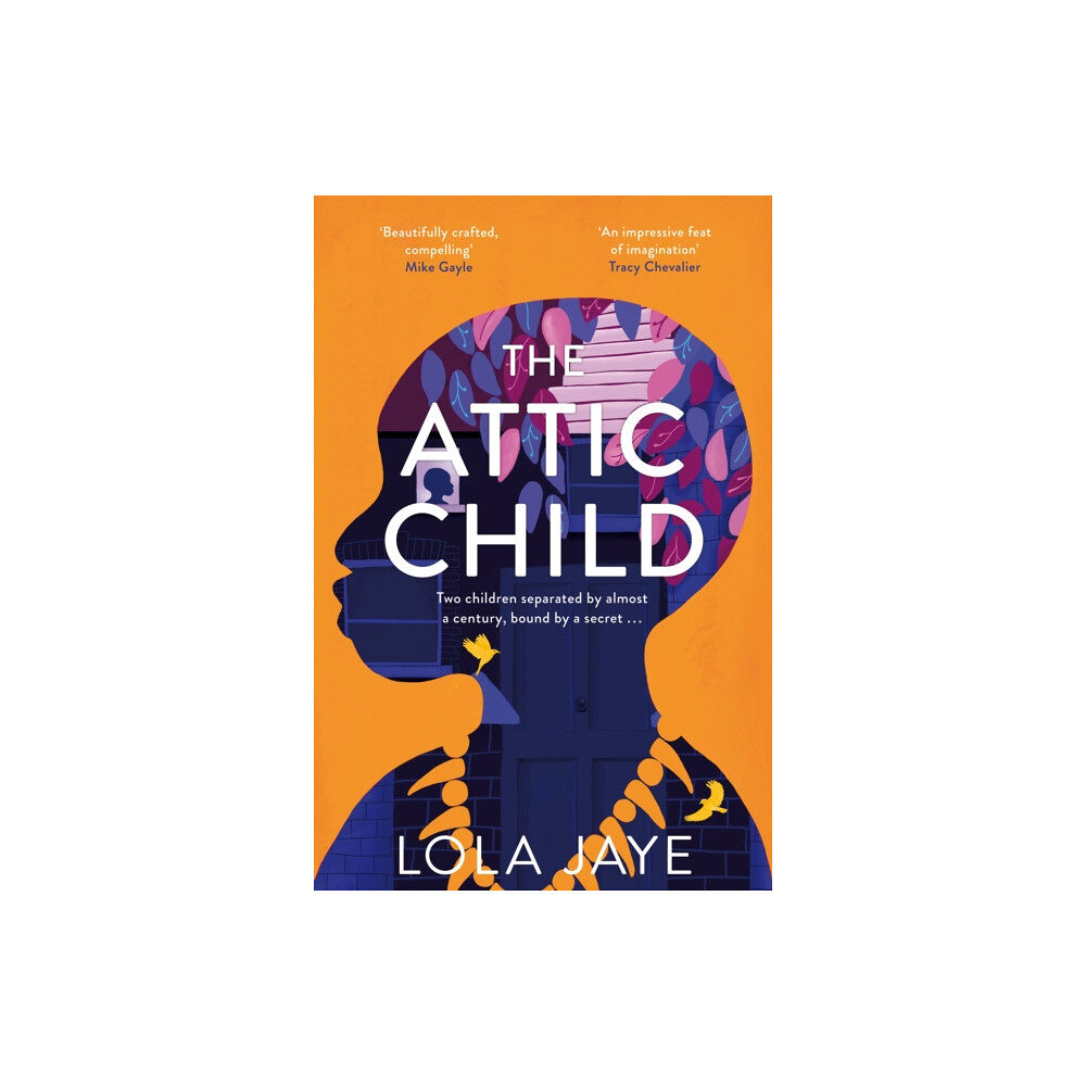 Pan Macmillan The Attic Child (häftad, eng)