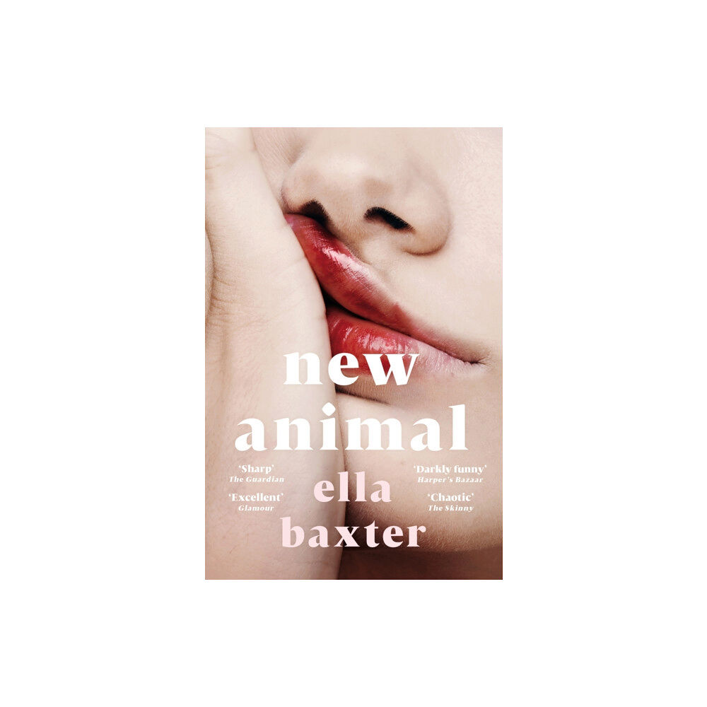 Pan Macmillan New Animal (häftad, eng)