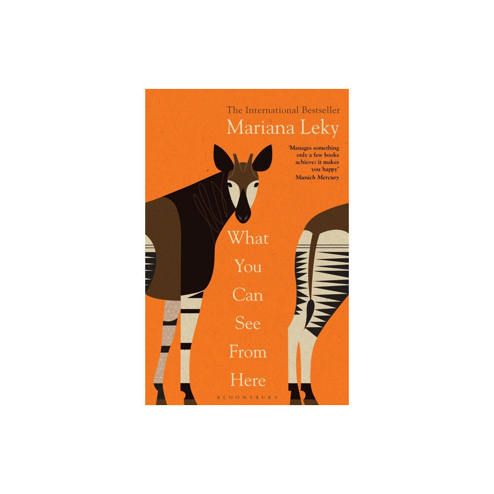 Bloomsbury Publishing PLC What You Can See From Here (häftad, eng)