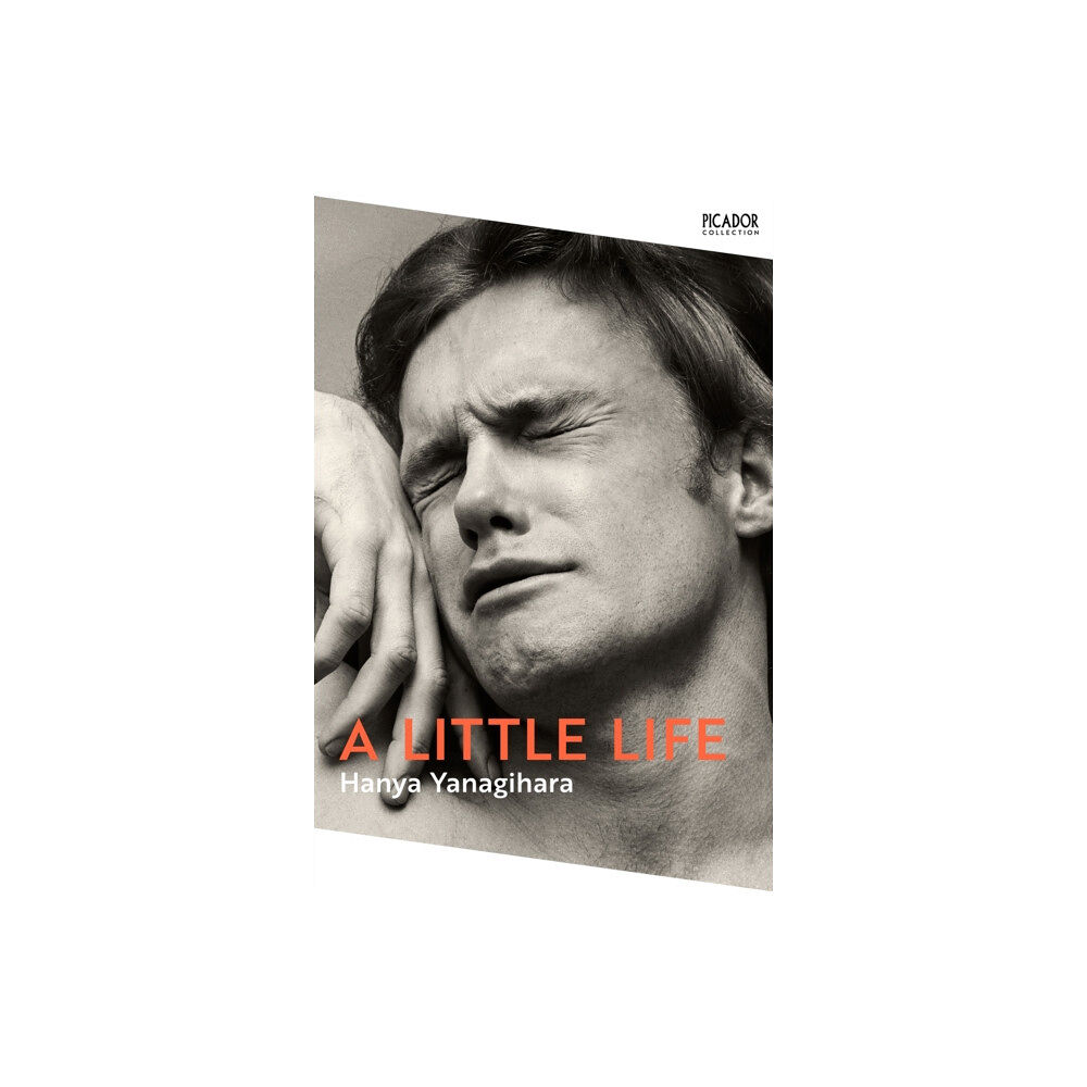 Pan Macmillan A Little Life (häftad, eng)