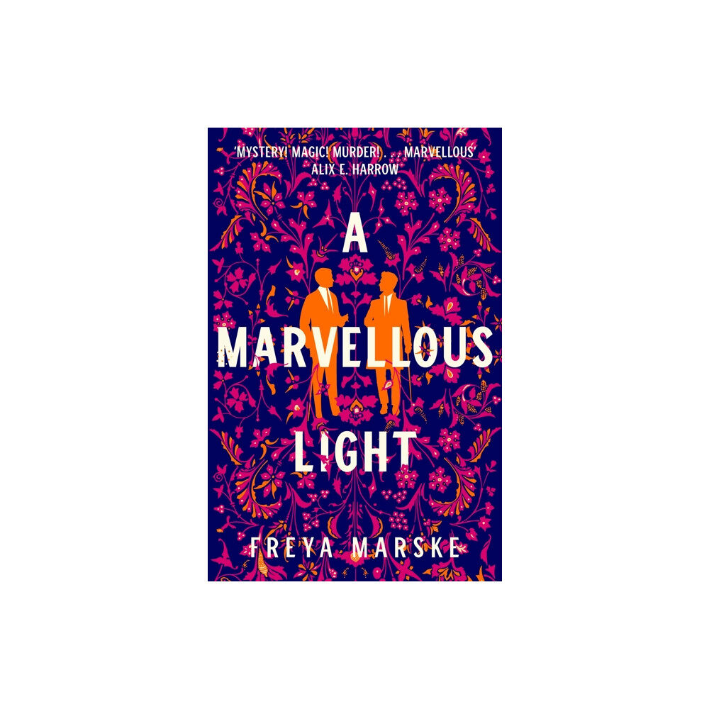 Pan Macmillan A Marvellous Light (inbunden, eng)