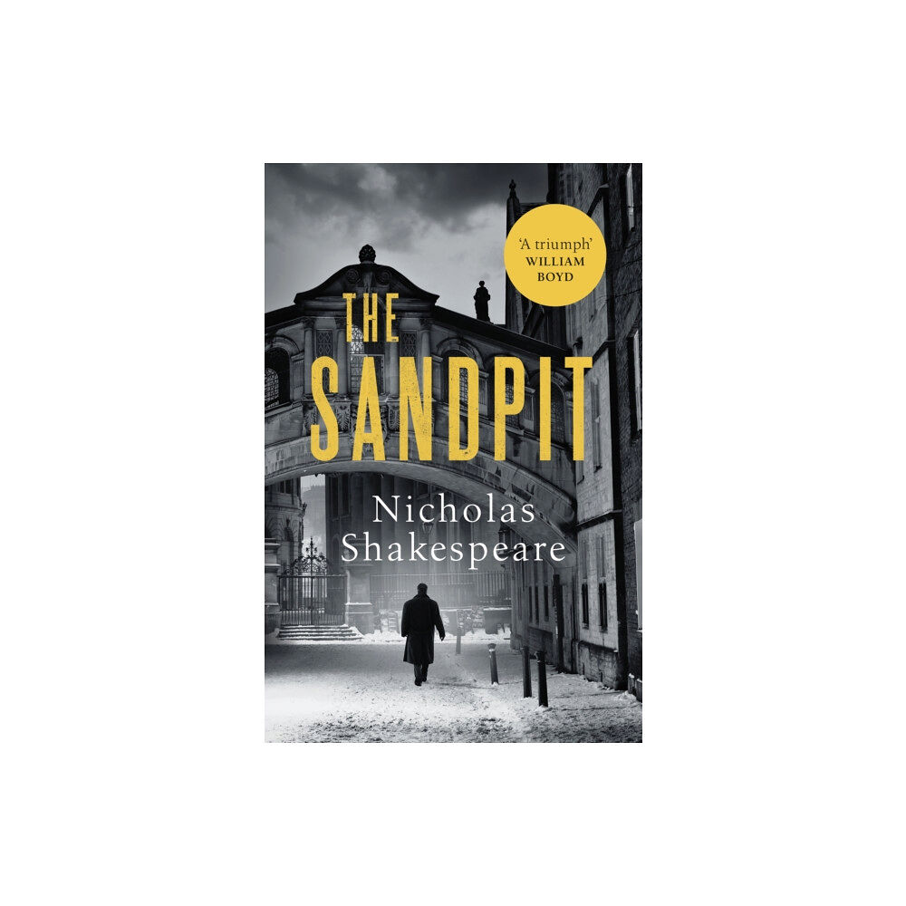 Vintage Publishing The Sandpit (häftad, eng)