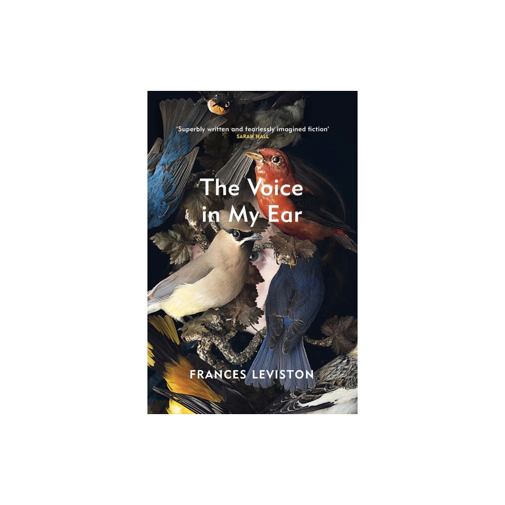Vintage Publishing The Voice in My Ear (häftad, eng)
