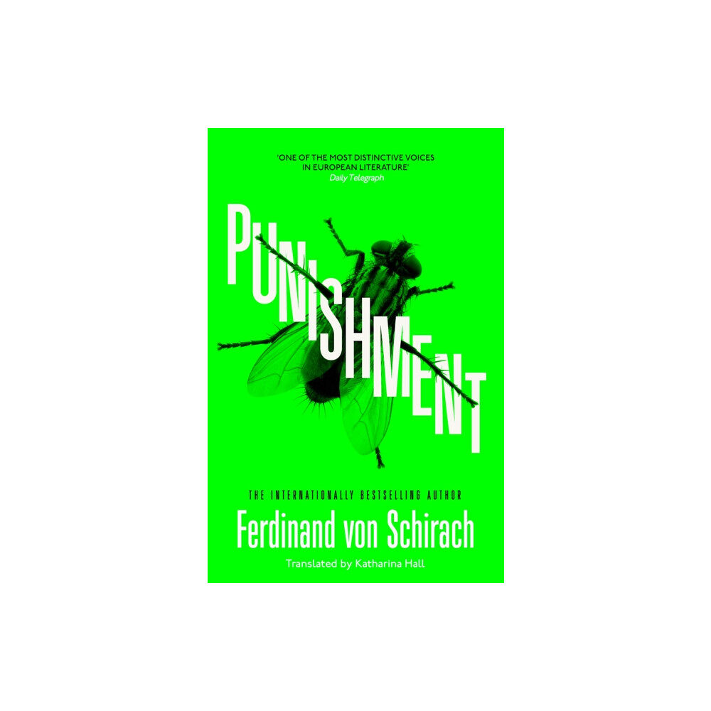 John Murray Press Punishment (häftad, eng)