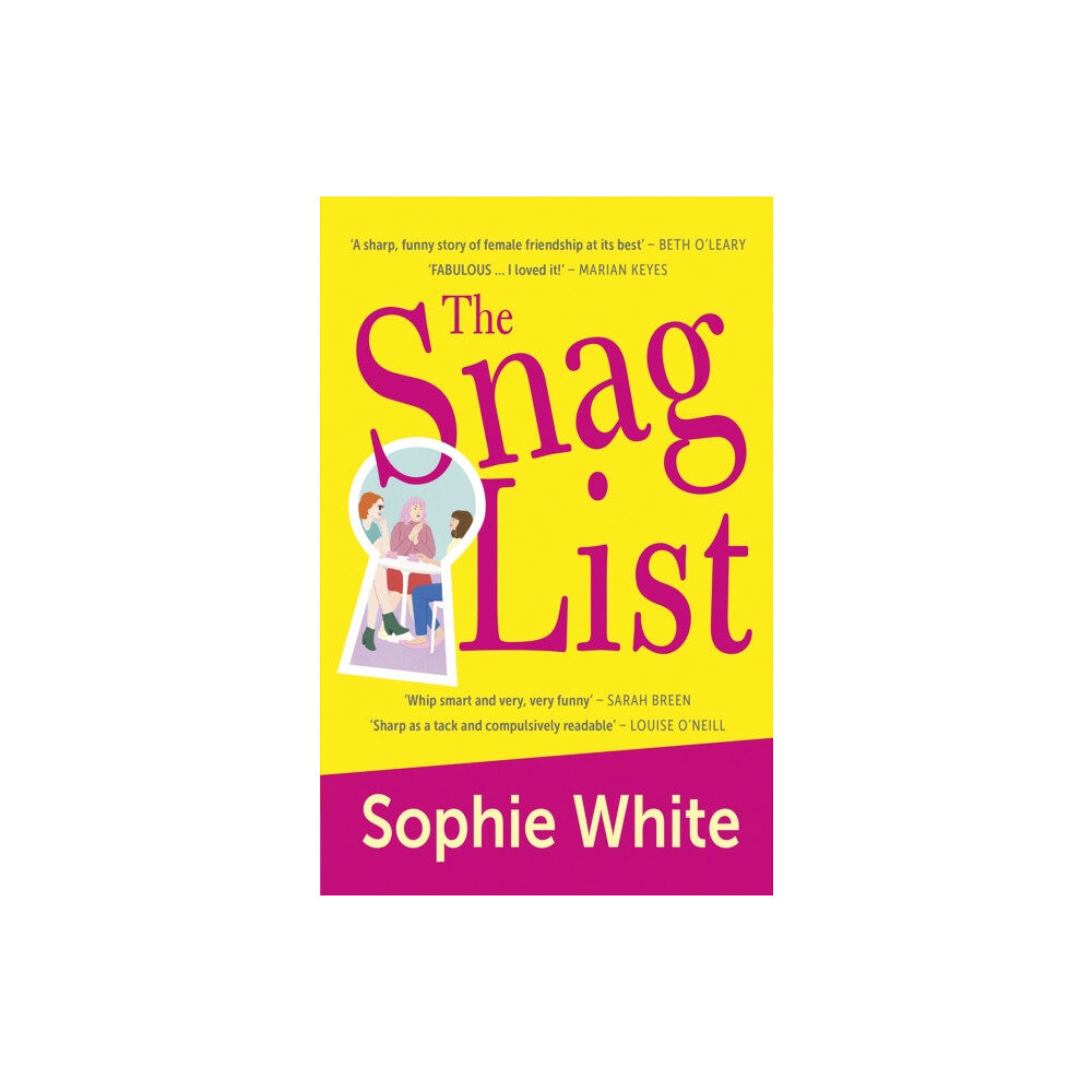 Hachette Books Ireland The Snag List (häftad, eng)