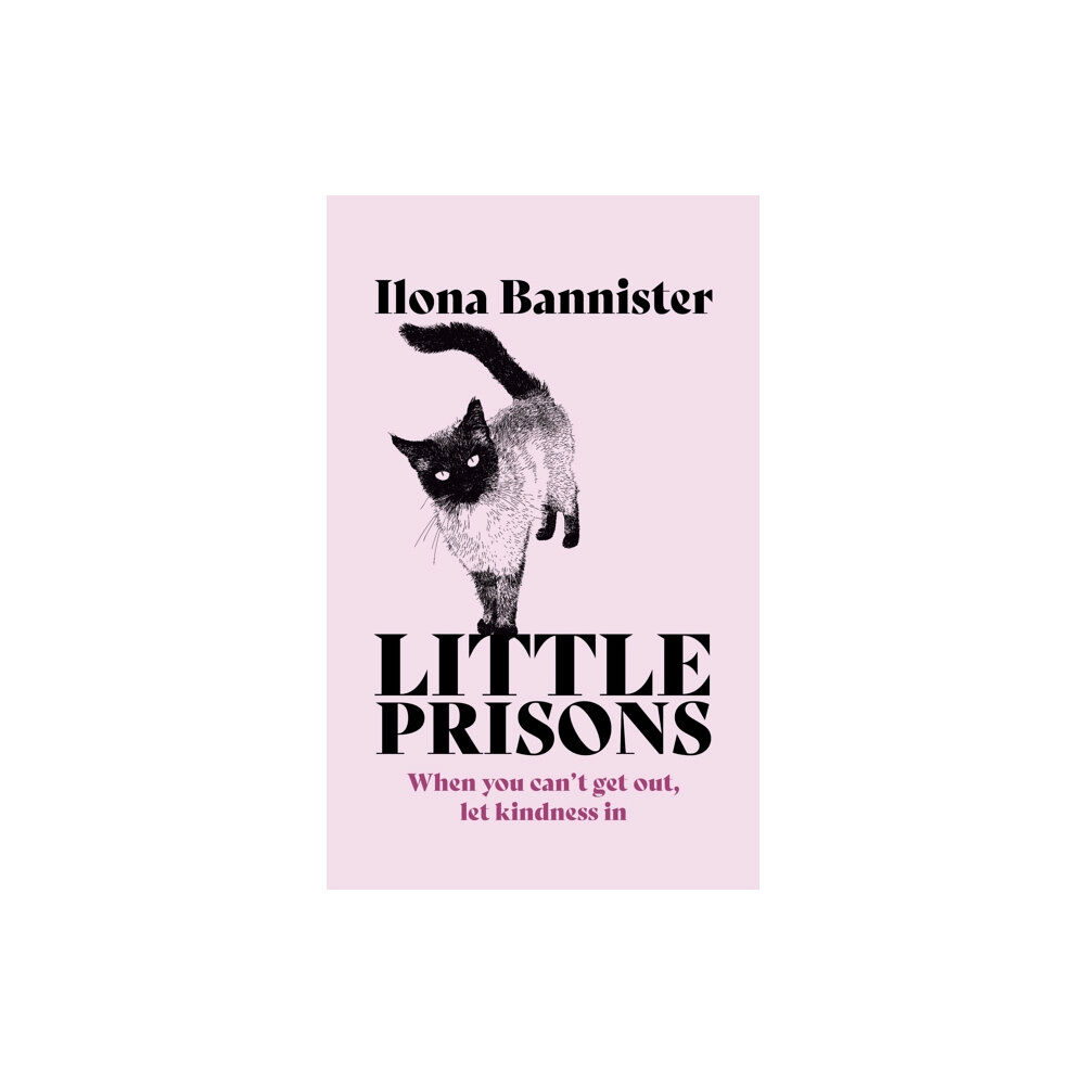 John Murray Press Little Prisons (häftad, eng)