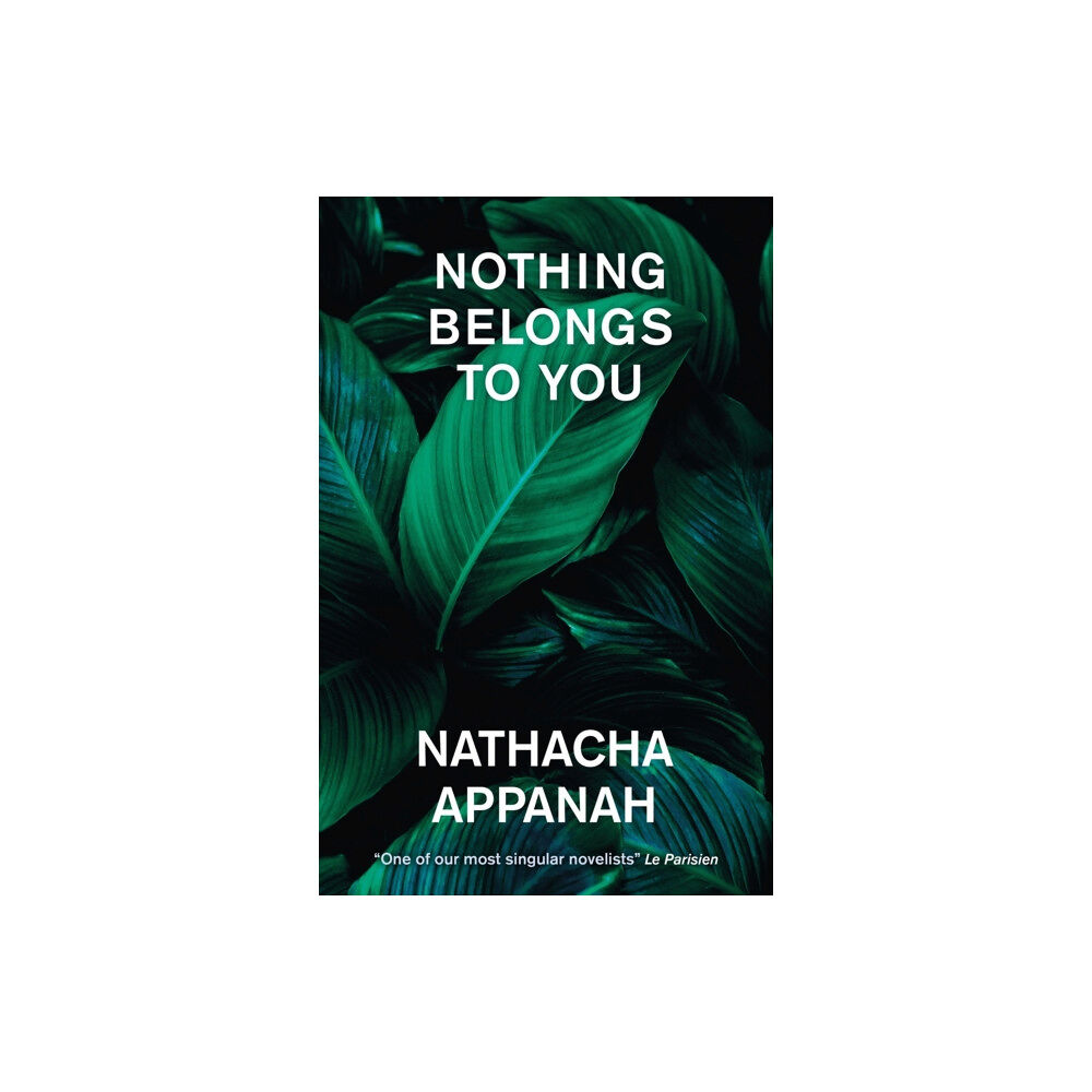 Quercus Publishing Nothing Belongs to You (häftad, eng)