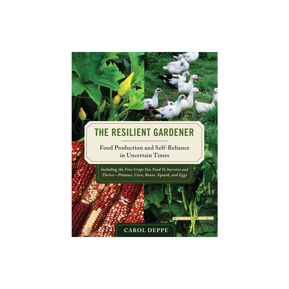 Chelsea Green Publishing Co The Resilient Gardener (häftad, eng)