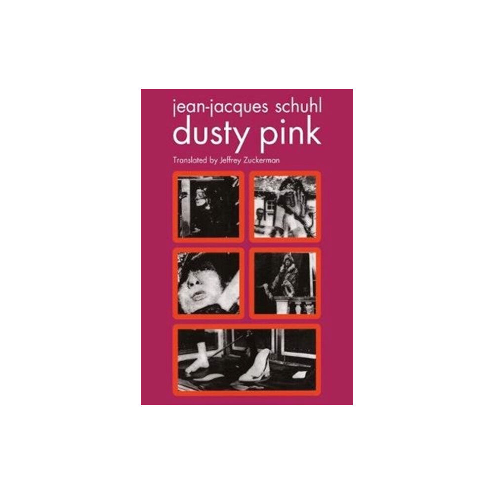 Semiotext (E) Dusty Pink (häftad, eng)