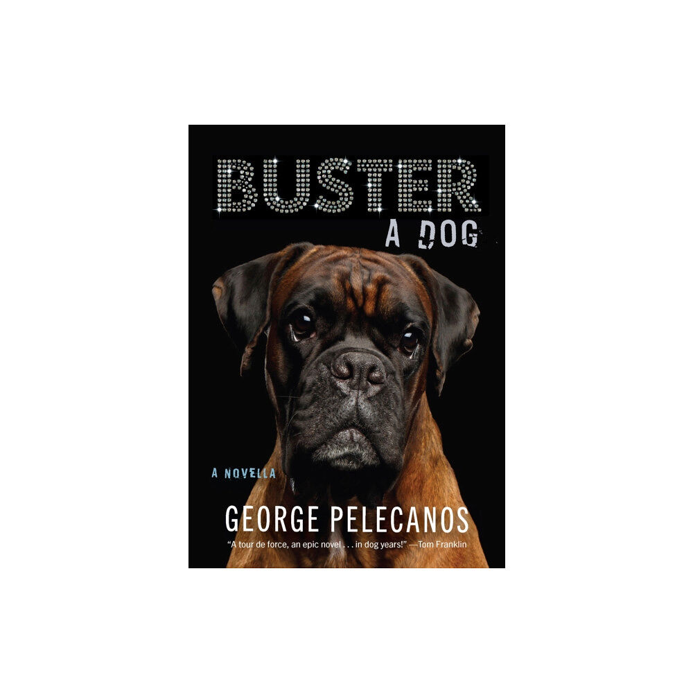 Akashic Books,U.S. Buster: A Dog (inbunden, eng)